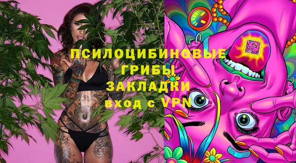 тгк Корсаков